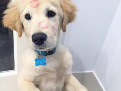 -当年暗房俱乐部(上海店)