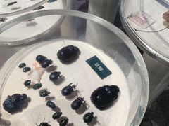 -陕西自然博物馆