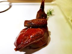 金牌乳鸽-熙瓏里(万科店)