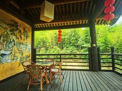 -大唐贡茶院