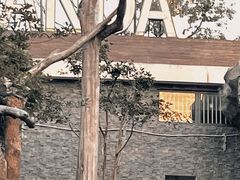 -武汉动物园