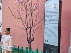 -乌山风景区