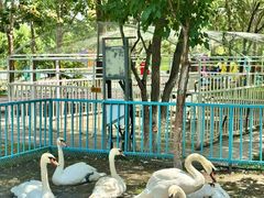 -水上乐园·欢乐世界