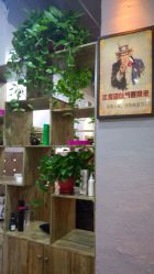 picture-M hair salon