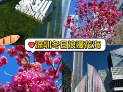 -深圳湾万象城(南山店)