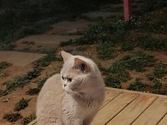 -四道口水产市场