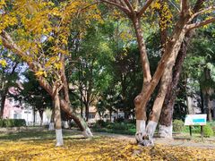 -四川大学(望江校区)