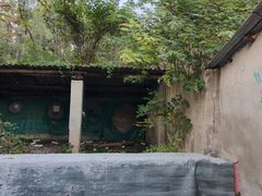 -东湖小天池真人CS彩弹野战基地