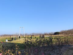 -漩门湾国家湿地公园