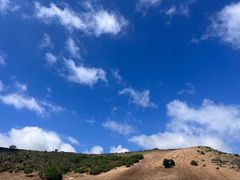 -御道口草原森林风景区