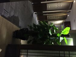 盘子女人坊(深圳盘子女人坊)-盘子女人坊生日照·摄影馆(华强店)