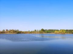 -东郊湿地公园