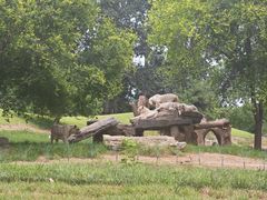 -北京野生动物园