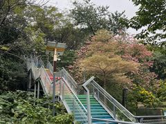 -佛山华盖山公园
