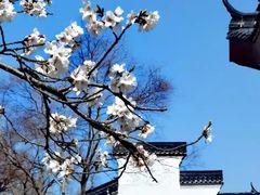 -堤角公园