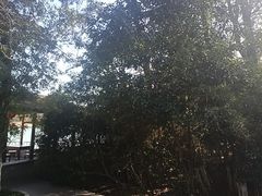 -天目湖山水园