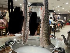 -渔意坊·千层无骨鱼粥底火锅·20年顺德菜(普君店)