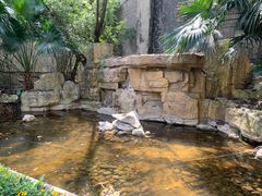 -棕榈泉国际花园1期