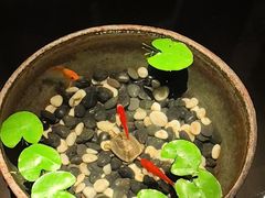 -曲水兰亭(北京四惠店)