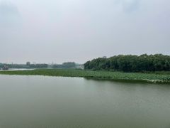 -大兴滨河森林公园