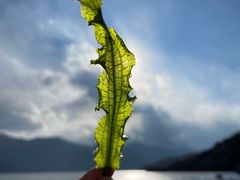 -丽江泸沽湖景区