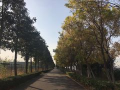 -万源龙顺度假庄园生态观光园