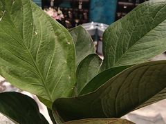 -铂尔登国际酒店(南山深圳湾口岸店)
