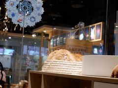 面包甜点陈列柜-藏猫猫咖啡主题馆(中央大道店)