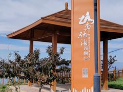 -刘家峡水库