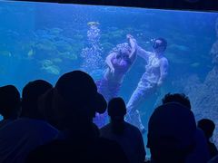 -左海海底世界