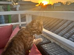 -EATALIA意塔利意式餐厅(鼓楼店)