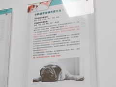 -瑞派雷欧宠物医院·24h夜诊·心脏骨科牙科·全科重症转诊中心(无影山店)