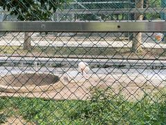 -下渚湖国家湿地公园科普馆