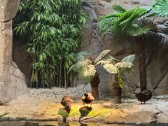 -上海海洋水族馆