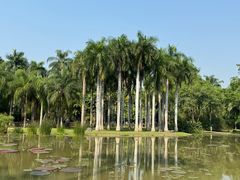 -中国科学院西双版纳热带植物园