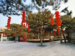 -团结湖公园