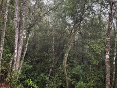 -腾冲云峰山