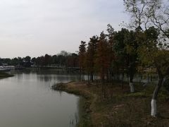 -尚贤河湿地