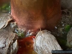 -陀岗美食·云南藏式特色餐厅