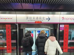 -宋家庄(地铁站)