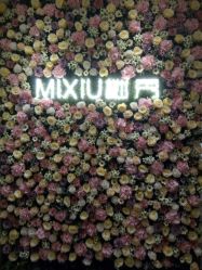 -谜秀专业半永久纹眉纹绣美瞳线洗眉