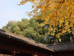-钱王祠