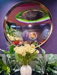 -花隐·美芙炫海菲秀皮肤管理中心