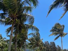 -石梅湾艾美度假酒店