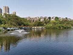 -重庆彩云湖湿地公园