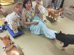 -逗柴咖啡屋·狗咖猫咖宠物桌游
