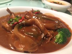 -骏莱海鲜鱼港(五角场店)