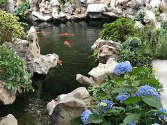 -鲤院·新中式美学·庭院餐厅(夫子庙店)