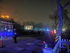 -枫花园汽车电影院(朝阳公园店)