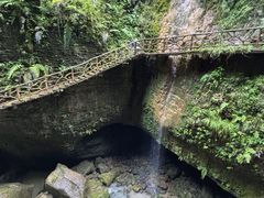 -鹿院坪生态旅游景区